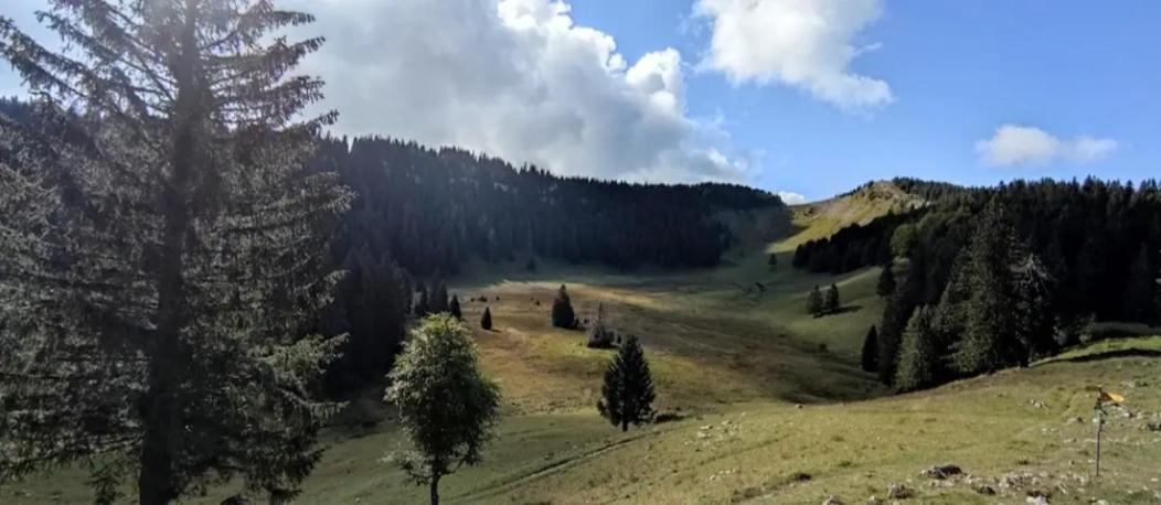 Cahute De Montagne Pour Profiter Du Haut Jura Prémanon Exterior foto